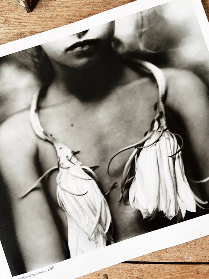 Vintage Sally Mann Art Book