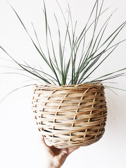 Handmade Vine Basket