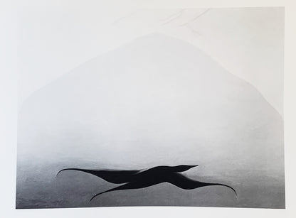 Vintage Georgia O’Keeffe Original 1970 Print