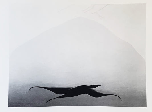 Vintage Georgia O’Keeffe Original 1970 Print