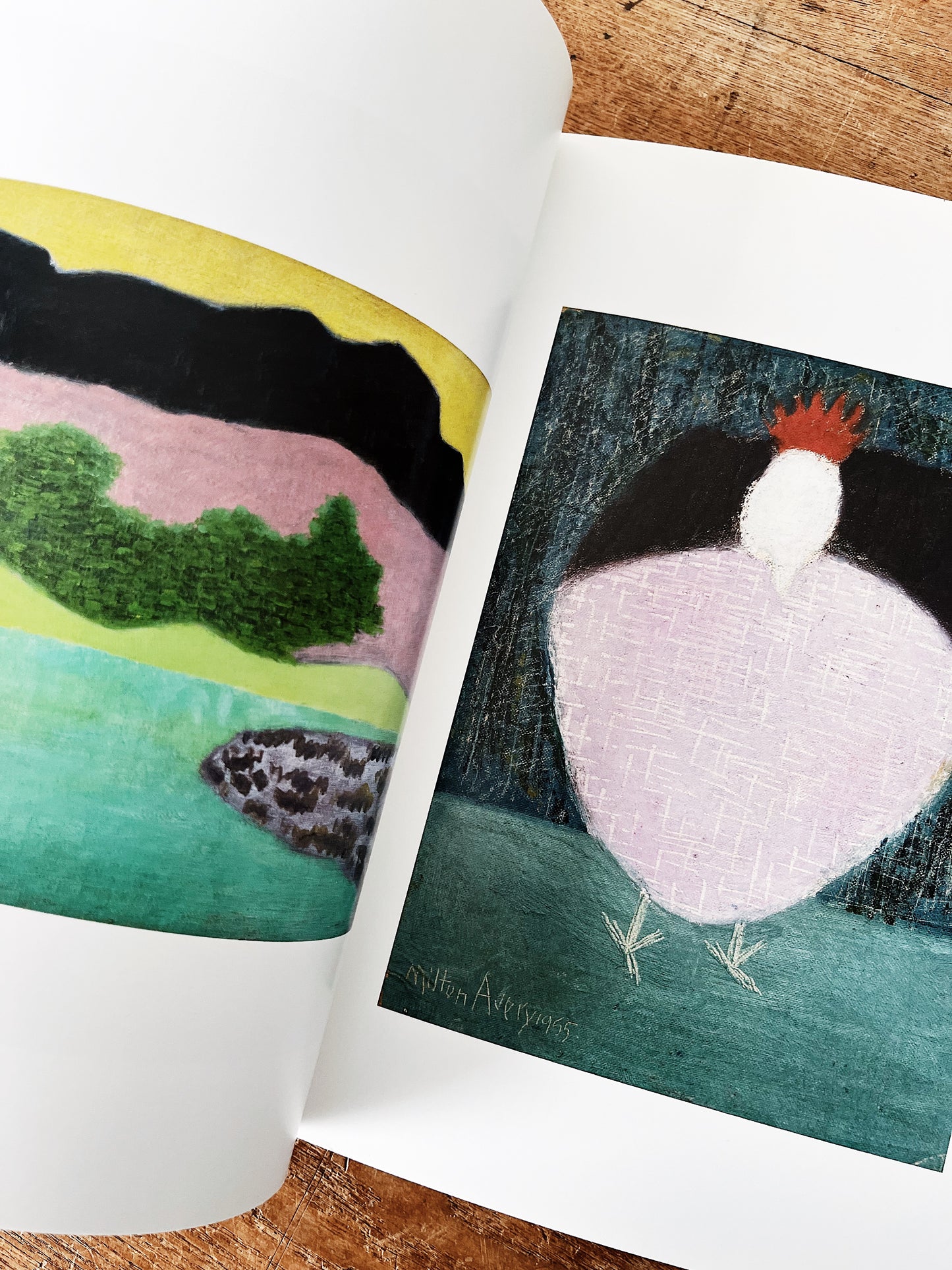 American Modernist Art Book