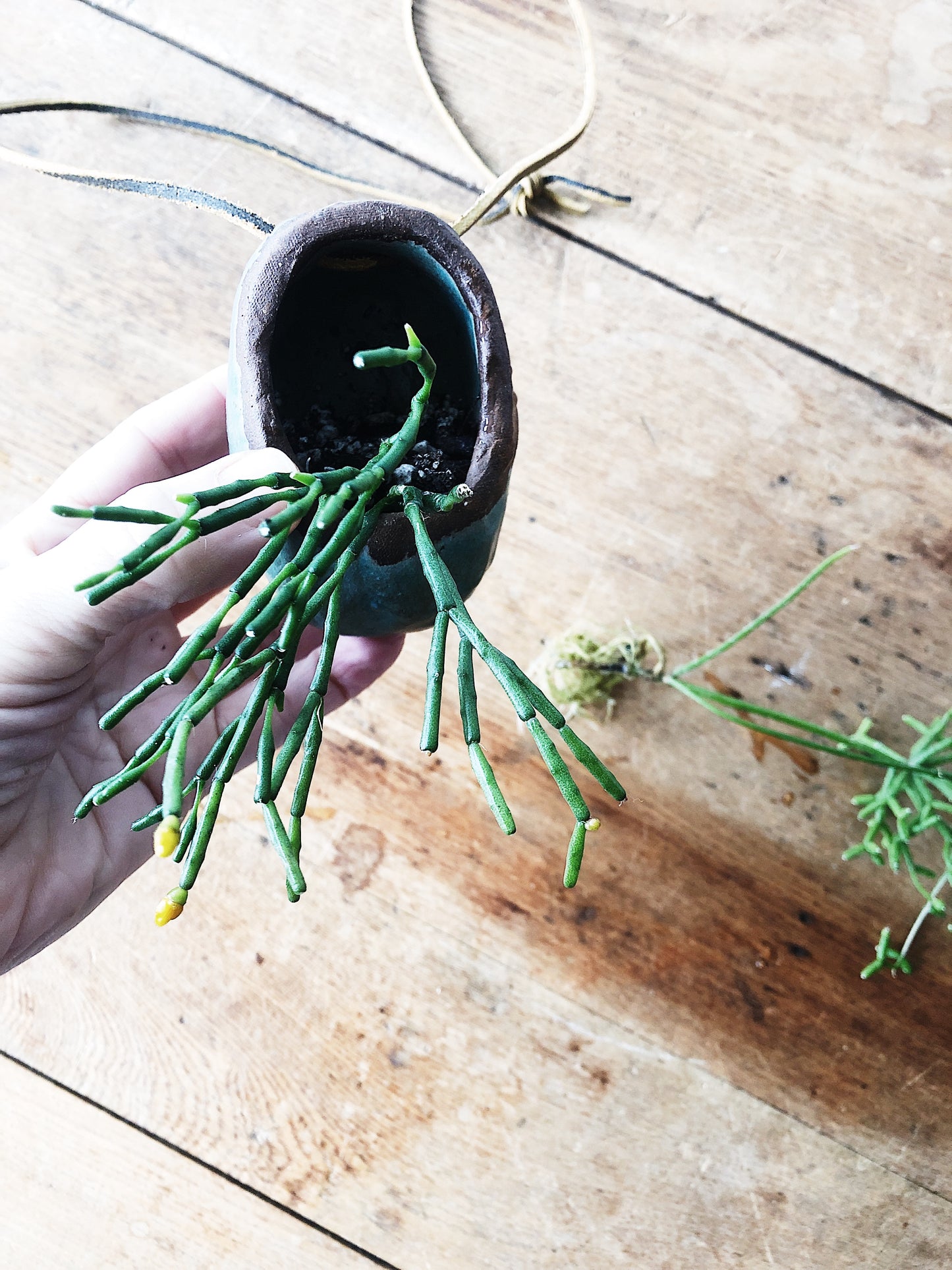 Handmade Ceramic Wall Planter