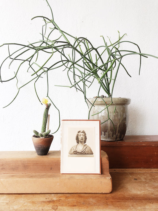Vintage Wood Display Shelf
