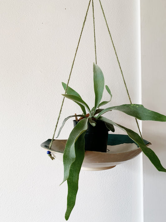 Handmade Ceramic Planter