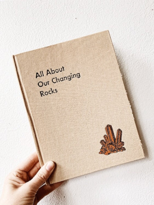 1950’s Middle Reader Rocks Book