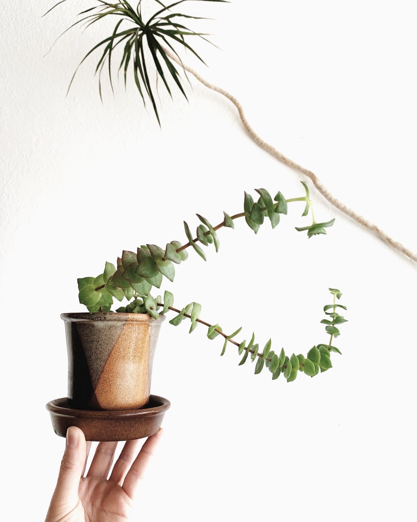 Pottery Craft Ceramic Tray Pot