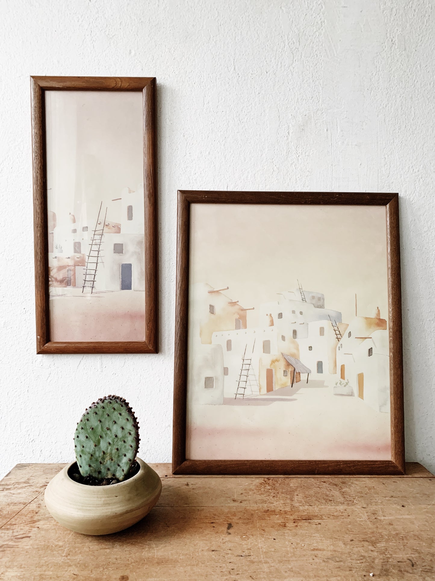 Opuntia Paddle Cactus in Vintage Pot