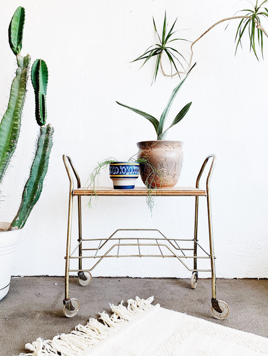Mid Century Metal Rolling Rack with Wood Top