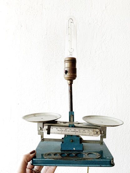 Handmade Scale Lamp