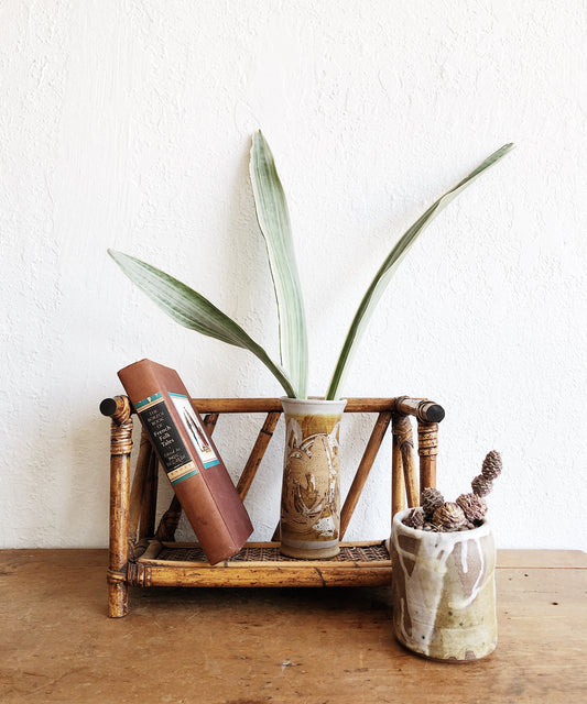 Vintage Bamboo Book Shelf