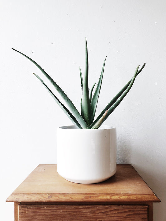 Vintage Mid Century Ceramic Pot