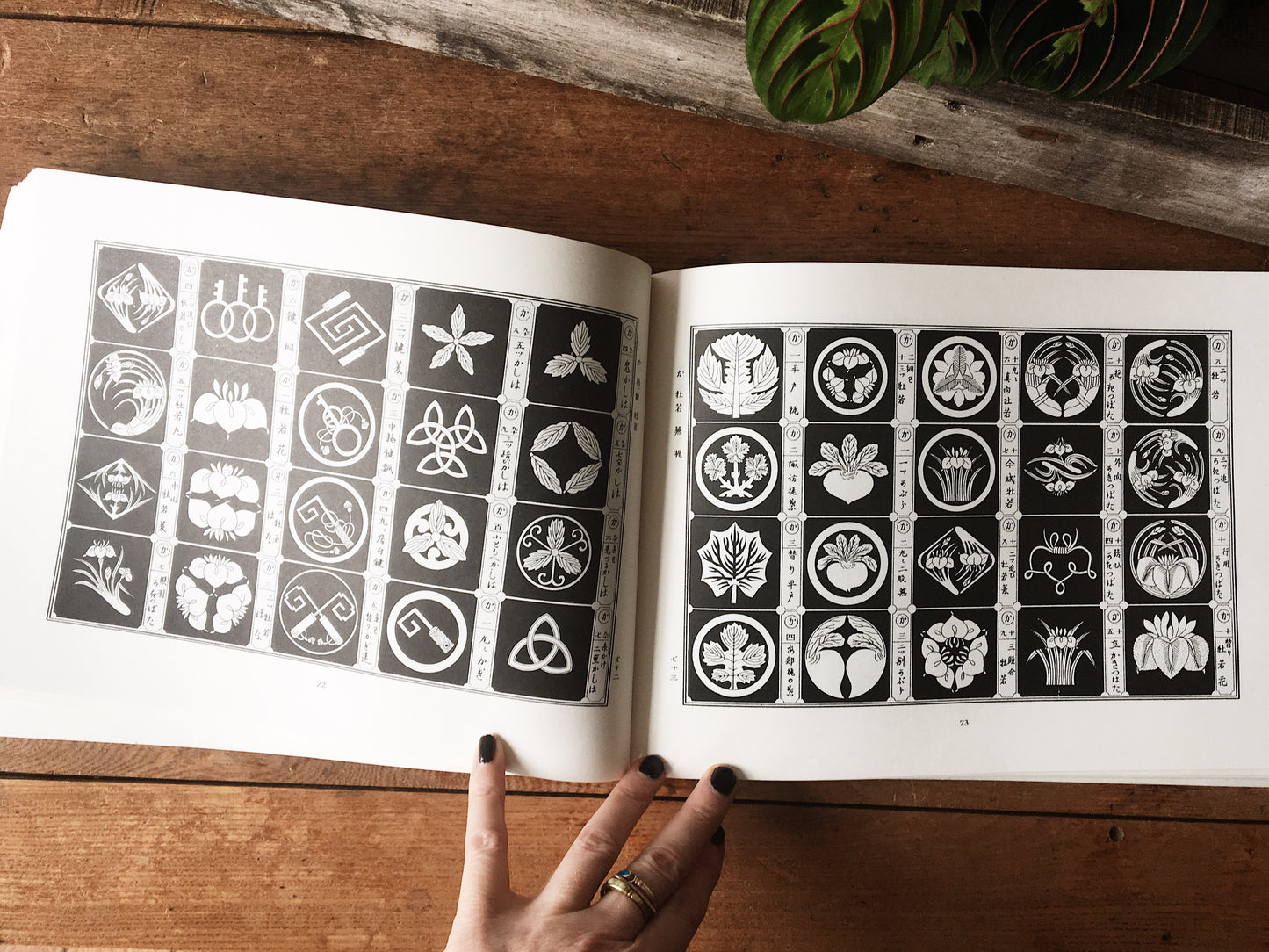 Japanese Design Motifs