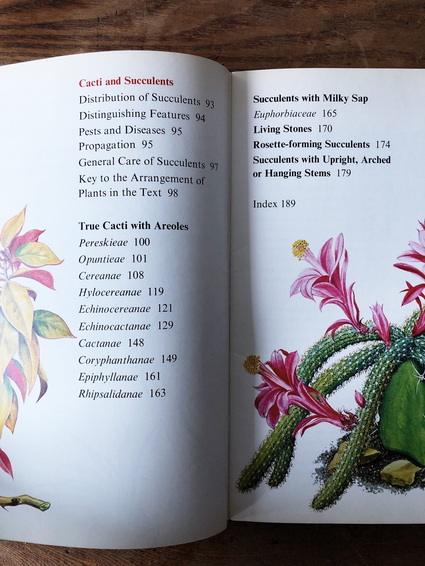 Vintage Houseplant and Cacti Book