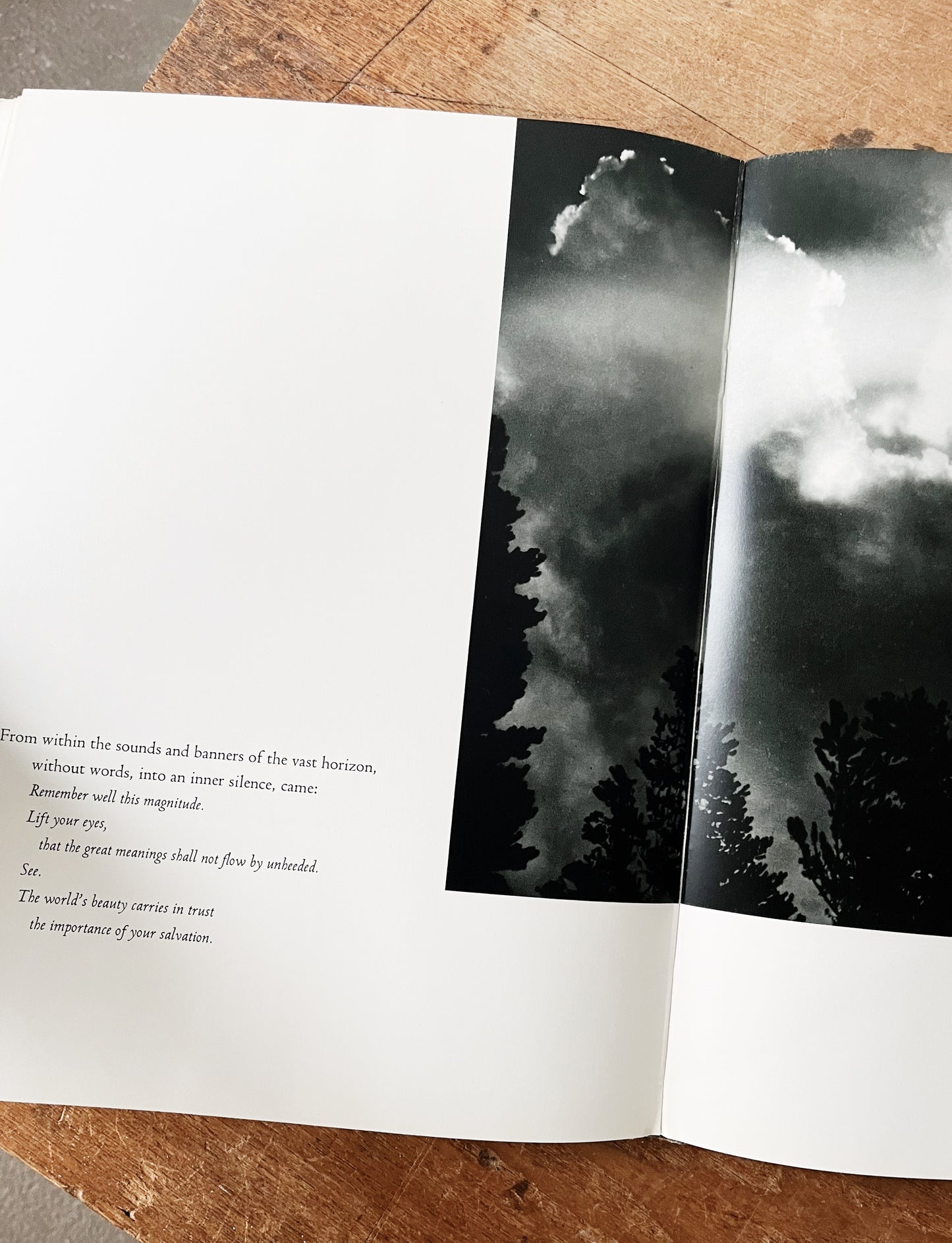 Vintage Words of the Earth Book