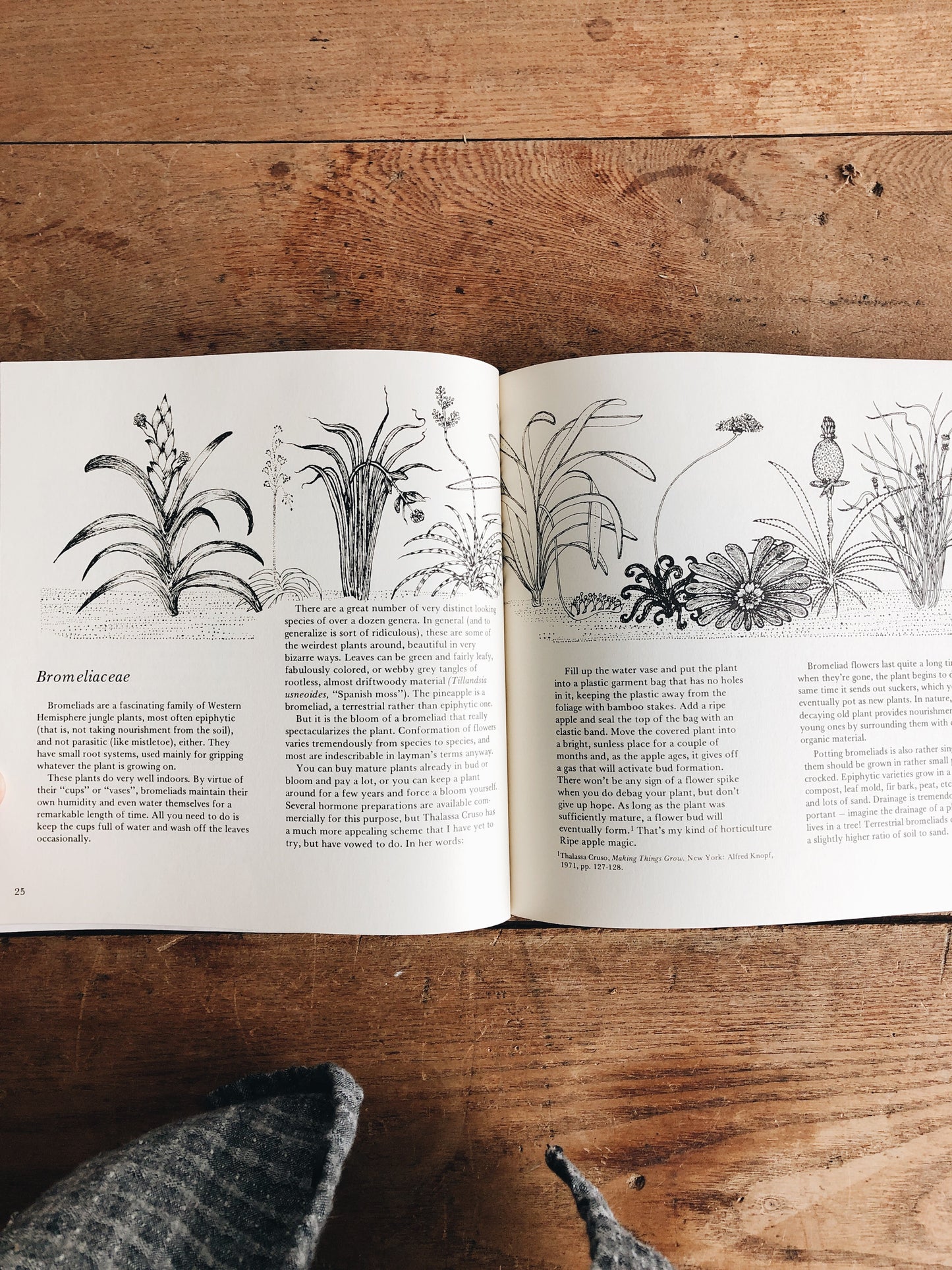 Vintage Plantcraft Book