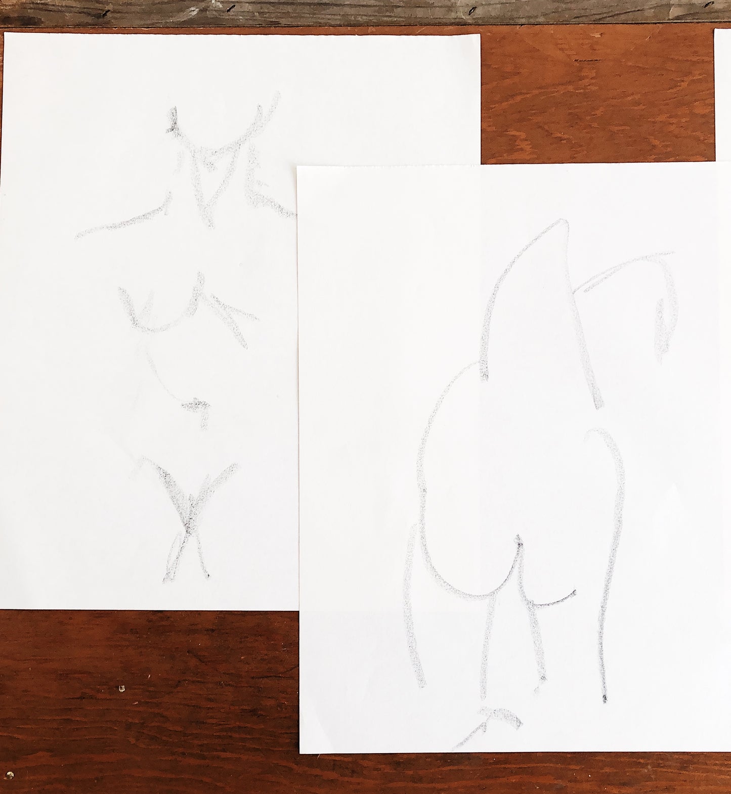 Original Charcoal Line Drawing