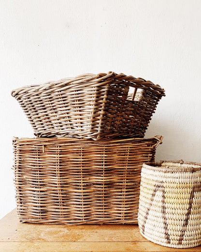 Graphic Coil Plant Basket