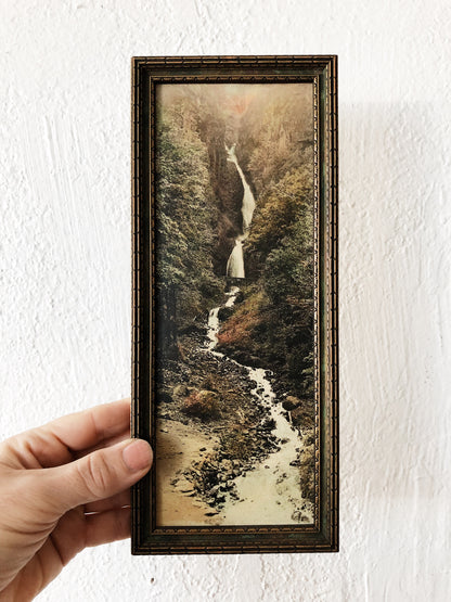 Antique Hand Colored Photograph