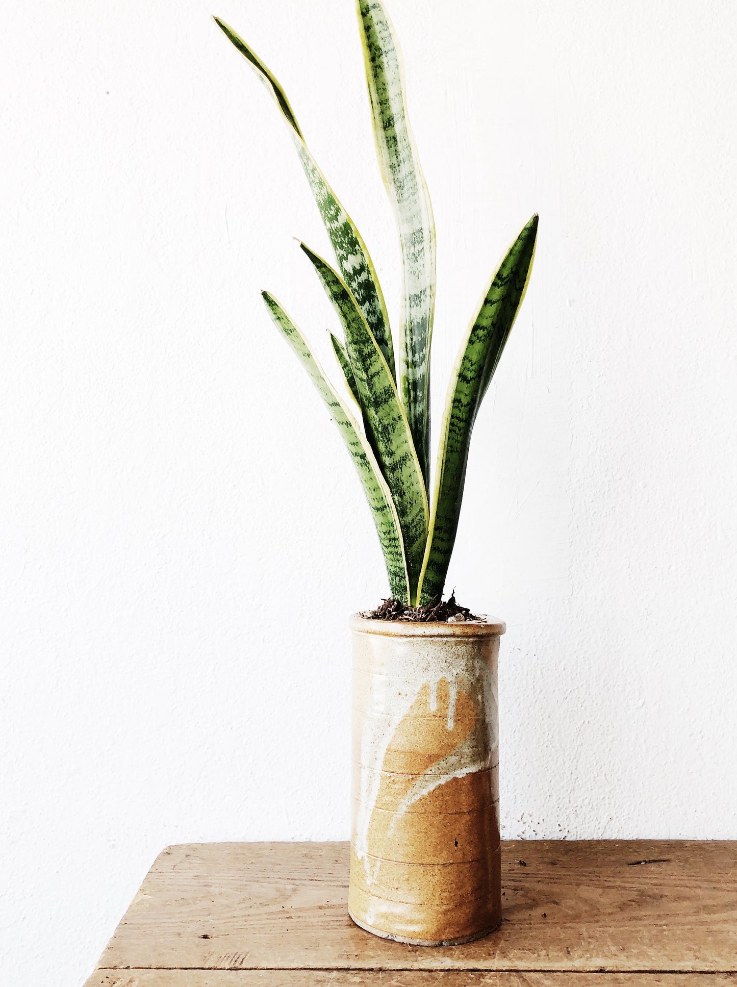 Handmade Ceramic Planter with or without Plant