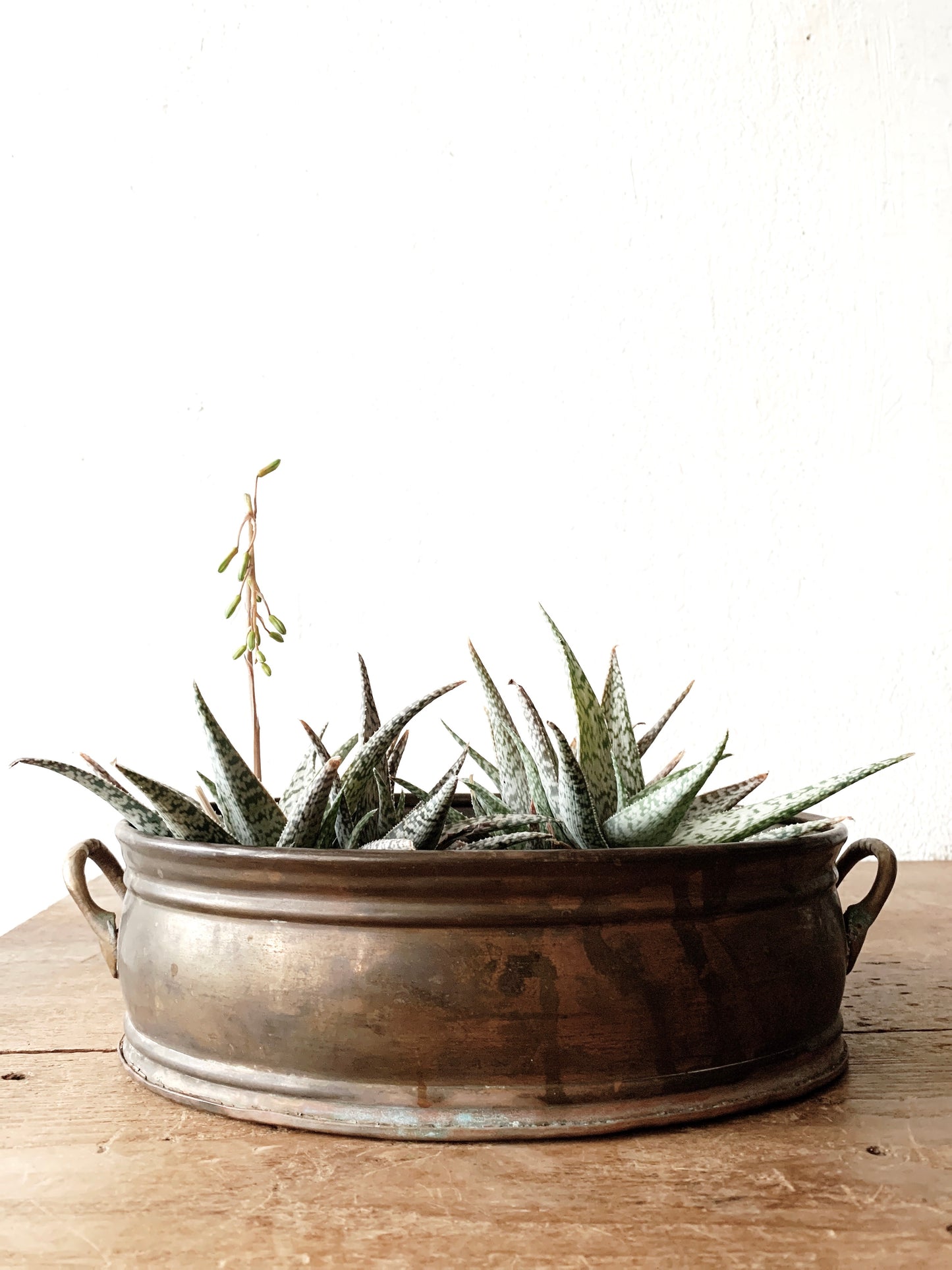 Vintage Brass Pot