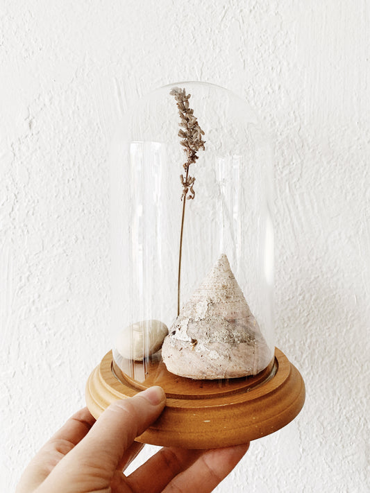 Petite Glass Cloche Display