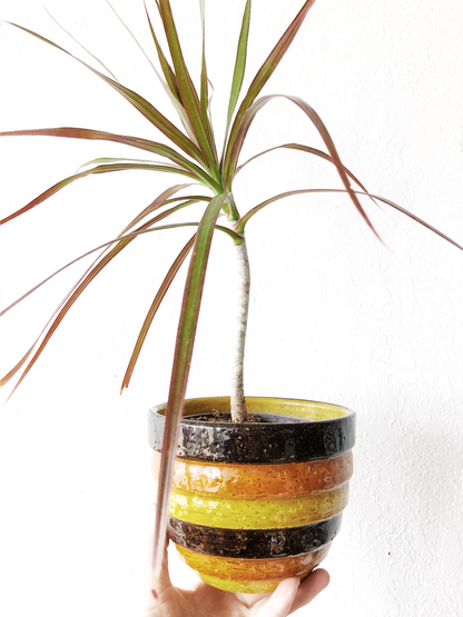 Vintage Beehive Bowl Planter