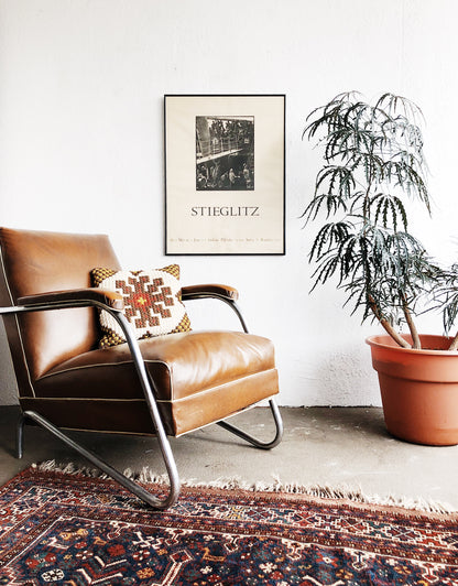 Mature Schefflera Elegantissima Floor Plant