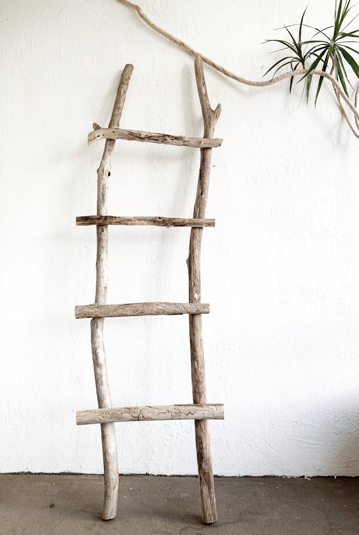 Driftwood Ladder