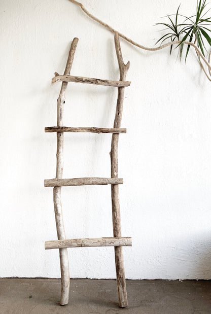 Driftwood Ladder