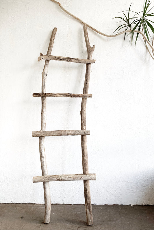 Driftwood Ladder