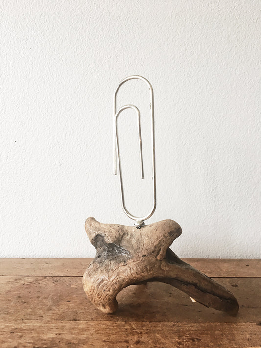 Driftwood and Giant Paper Clip
