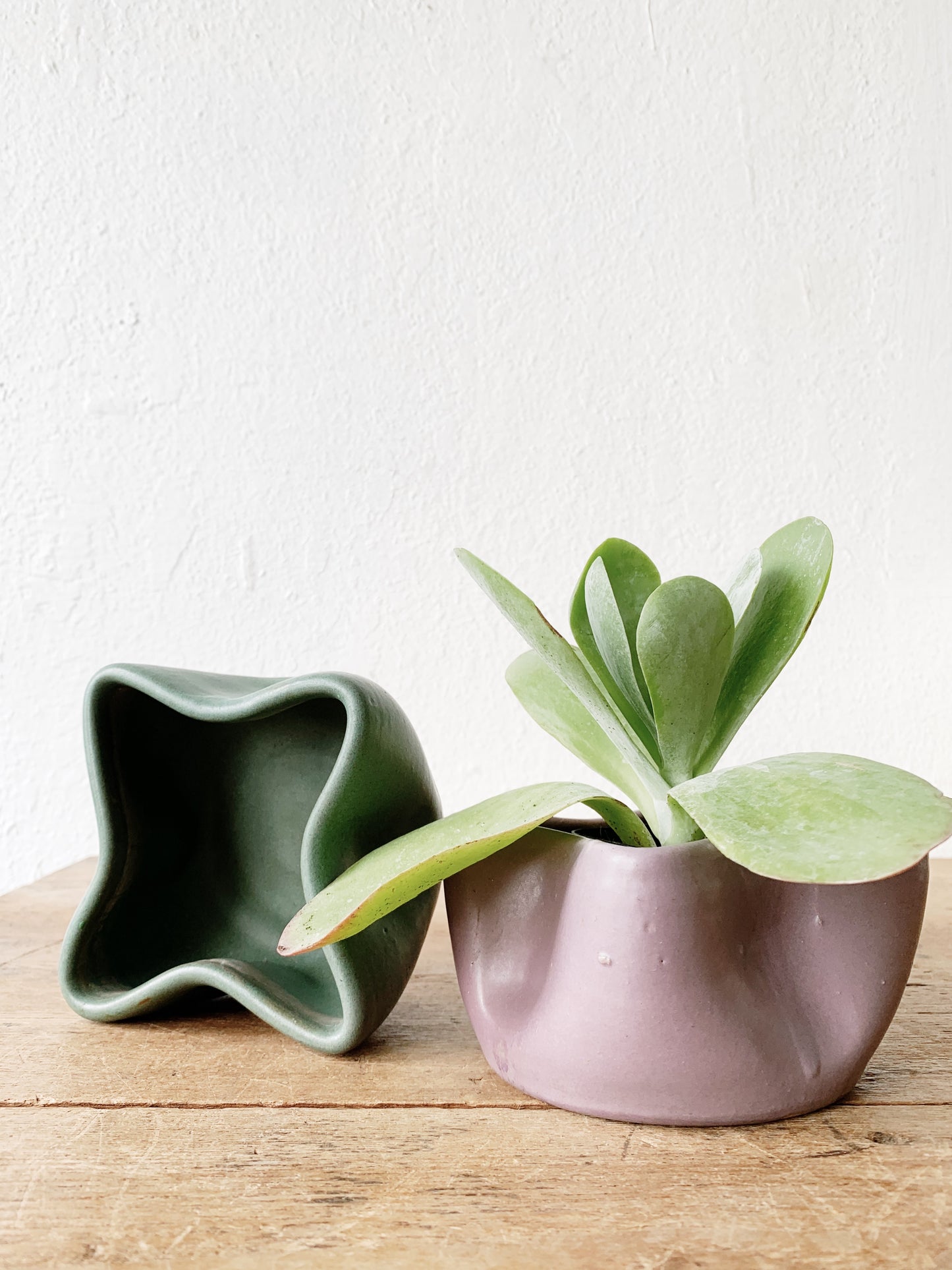 Wavy Handmade Ceramic Pot