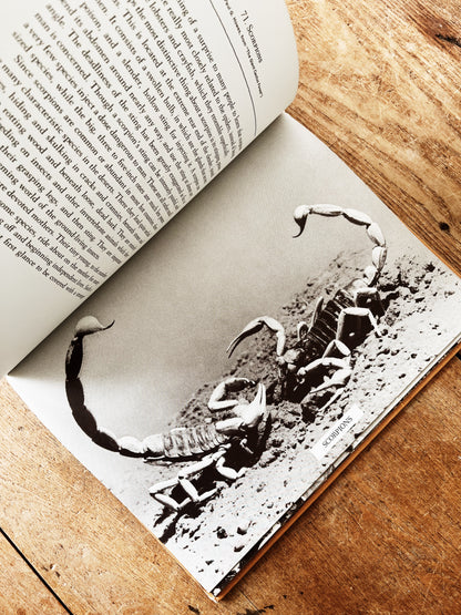Vintage Natural History Book