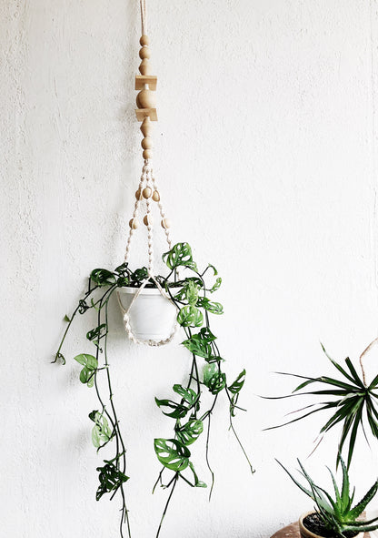 Monstera Adansonii in Macrame