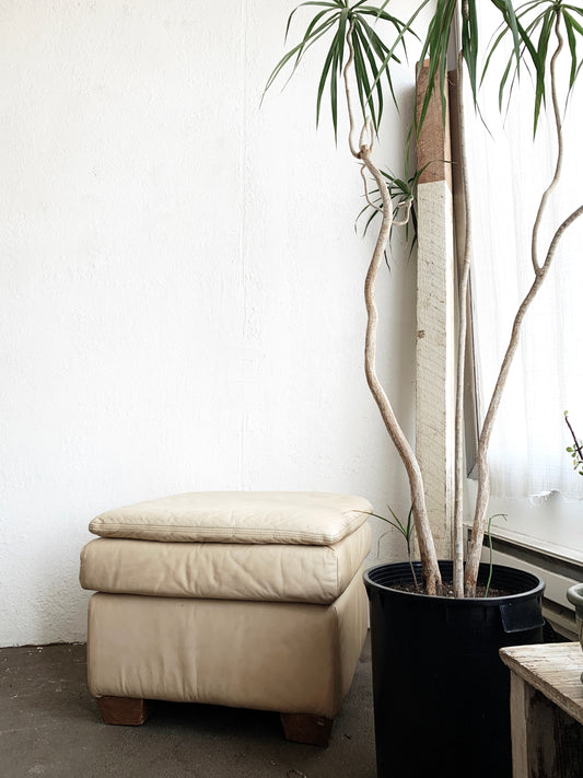 Vintage Leather Ottoman