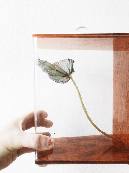 Vintage Mod Lucite Canister