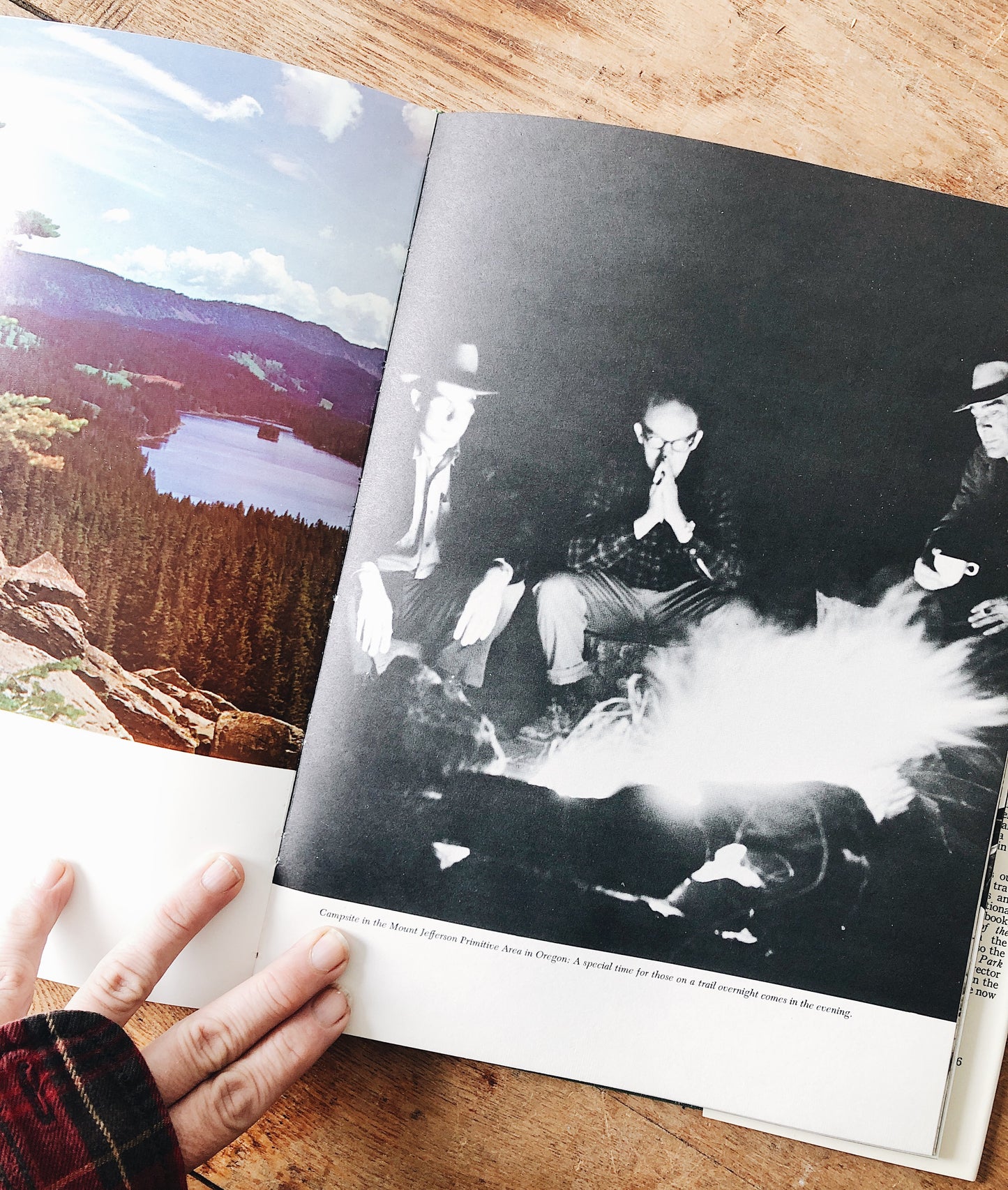 Vintage National Forests of America Book
