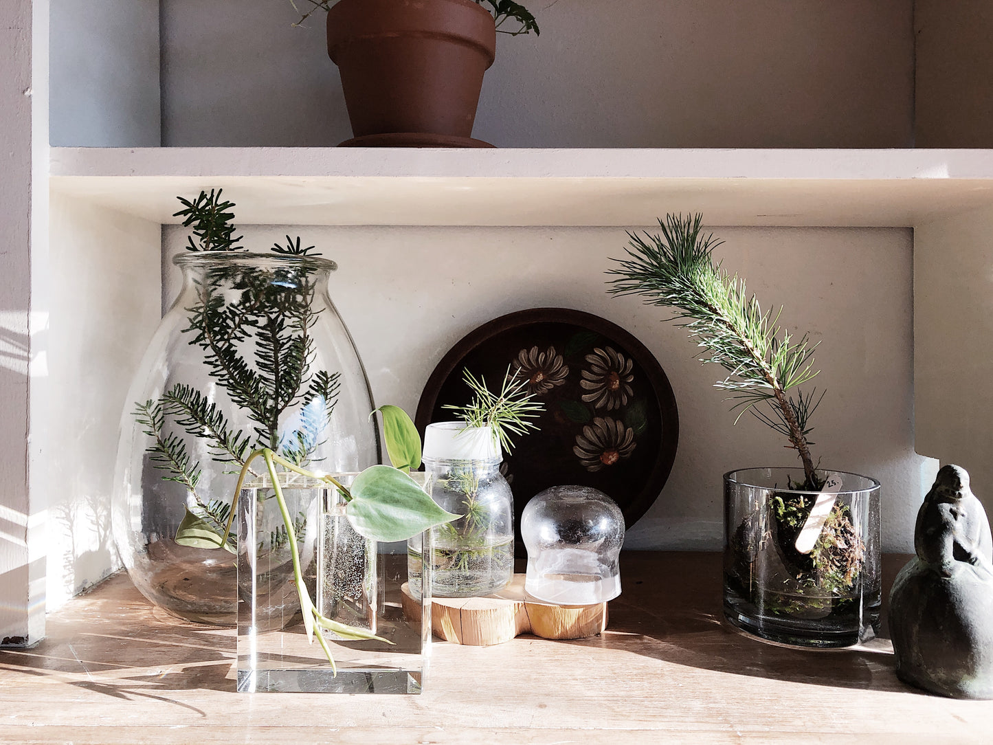 Modern Glass Propagation Vase