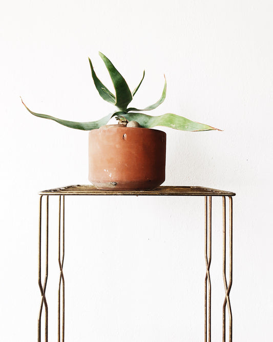 Vintage MCM Brass Record Stand
