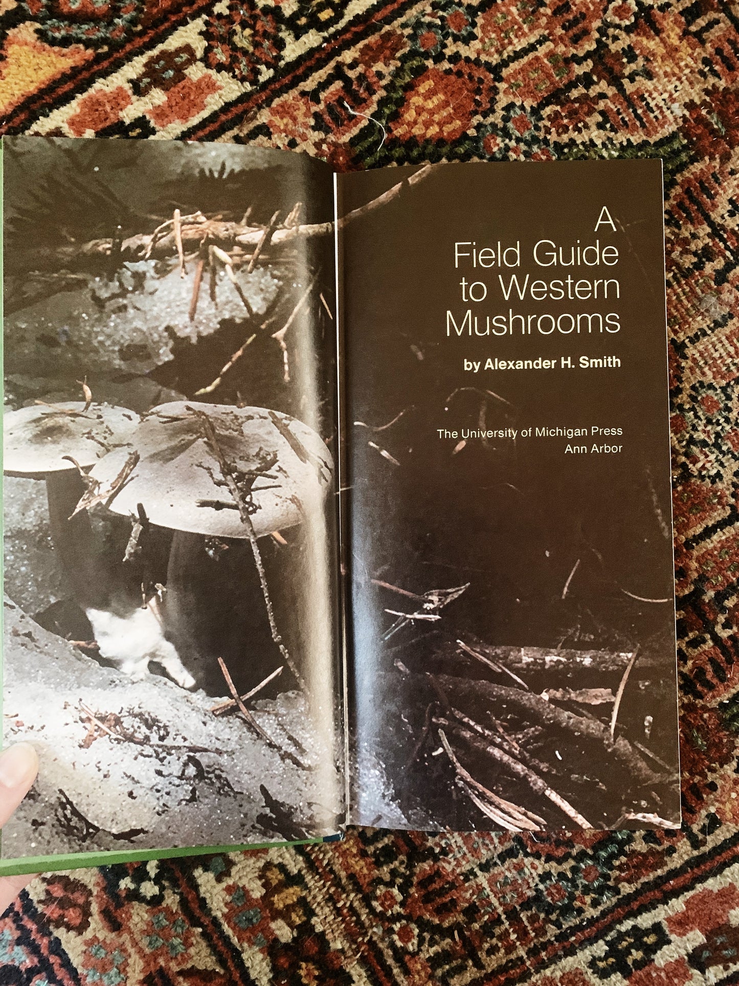 Vintage Mushroom Hard Cover Field Guide