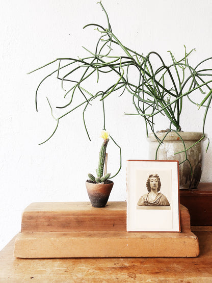 Vintage Wood Display Shelf