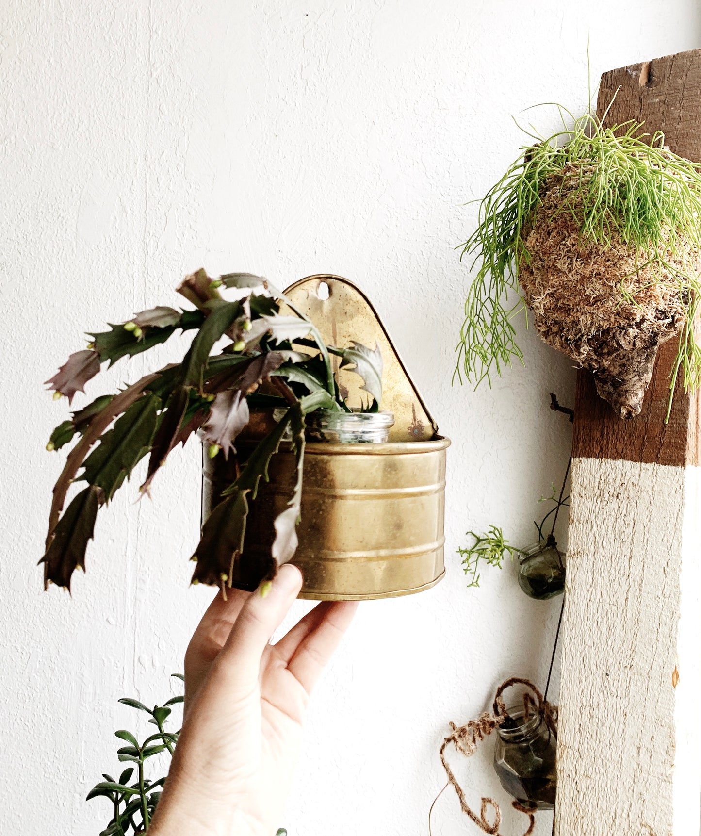 Vintage Brass Wall Planter