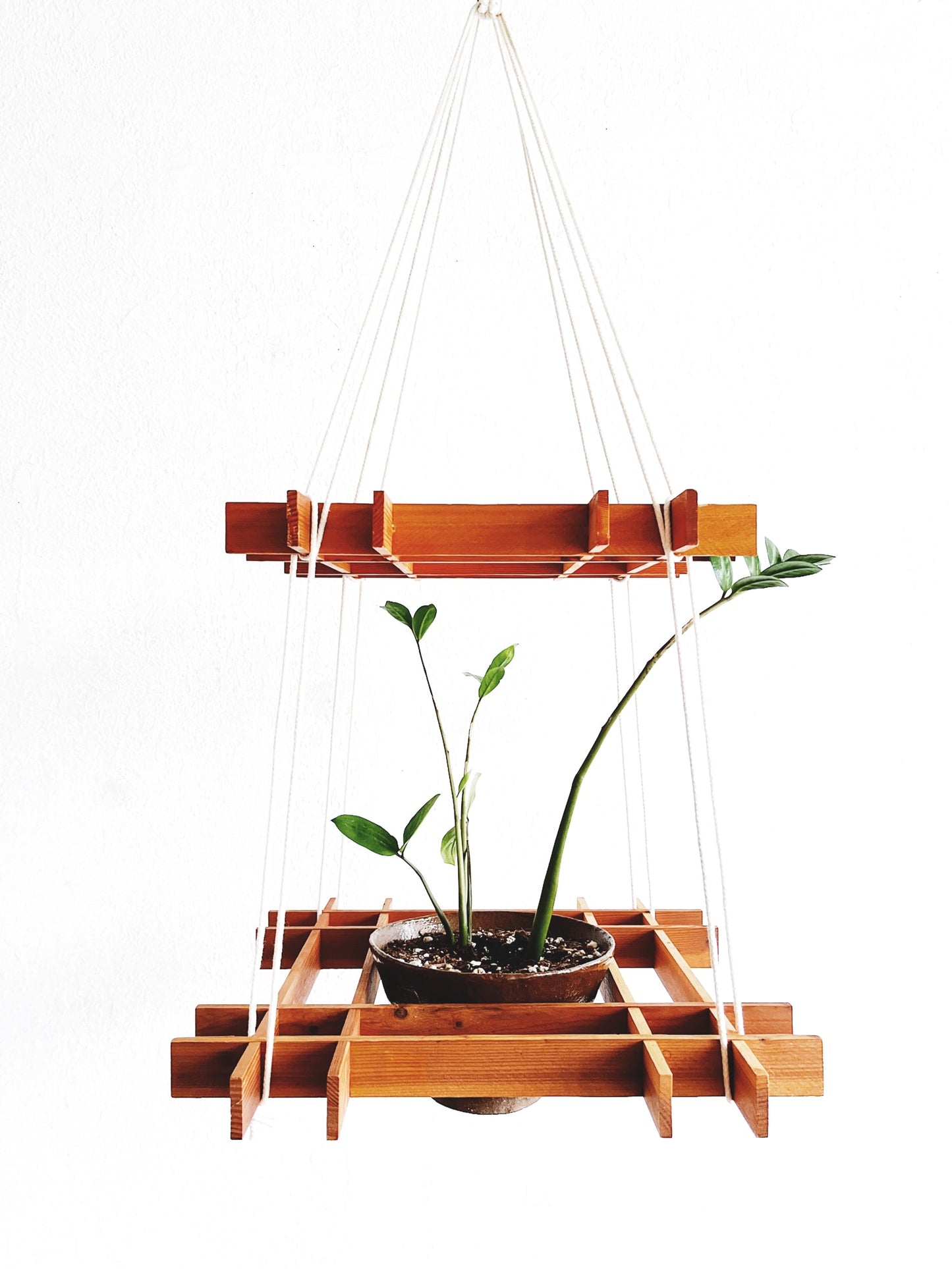 Grid Plant  Hanger