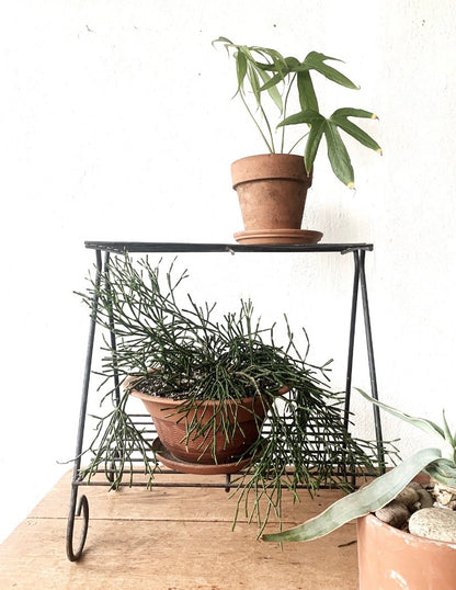 Mid Century Plant Stand