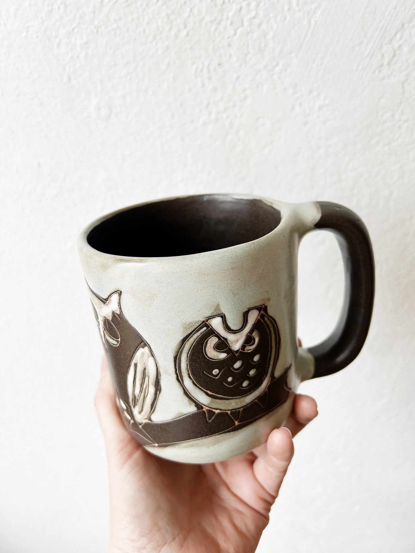 Large Mara of Mexico Owl Mug