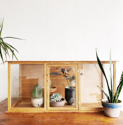 Vintage Glass and Wood Display Case