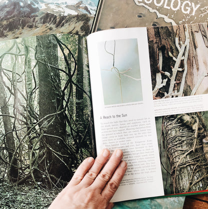 Vintage Natural History Book Collection