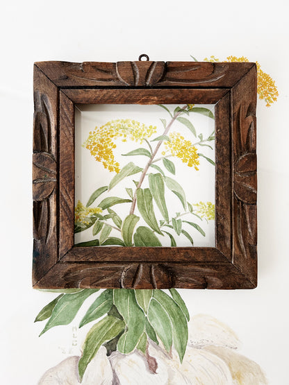 1980’s Original Watercolor Painting Goldenrod