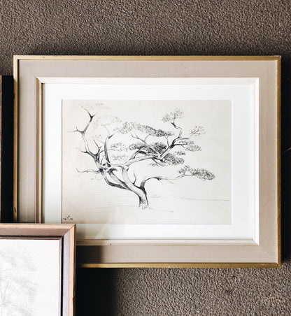 Vintage Original Pen and Ink Drawing - Tree Series
