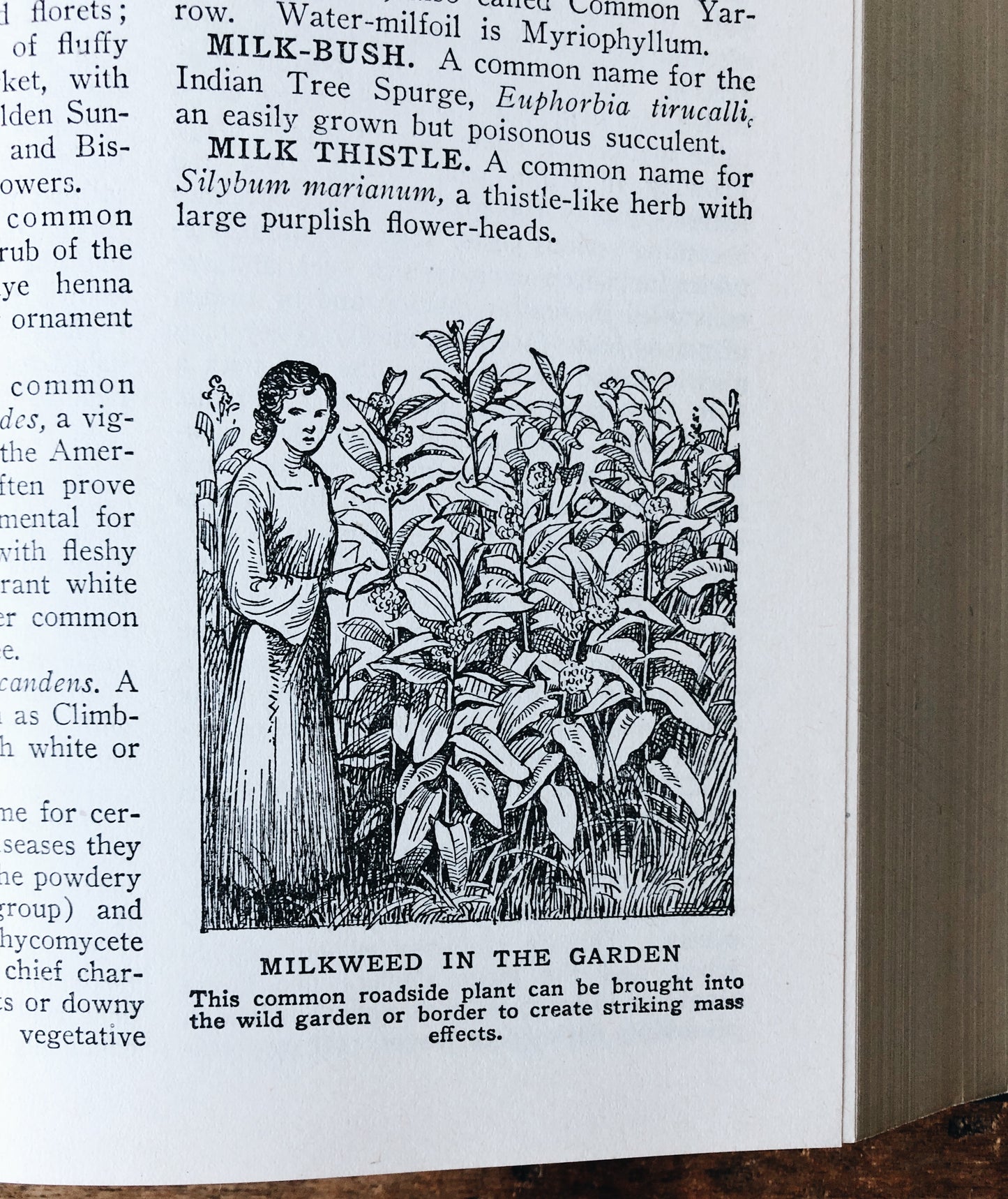 Vintage 1930s Leatherbound Gardening Encyclopedia